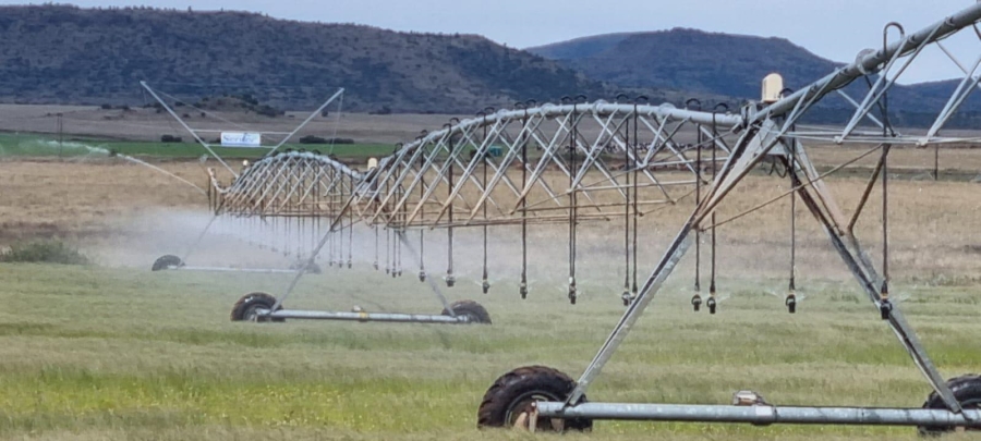 4 Bedroom Property for Sale in Queenstown Rural Eastern Cape